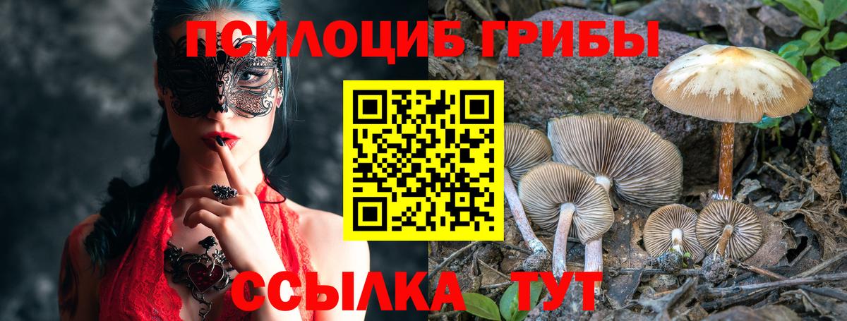 Владикавказ  Псилоцибиновые грибы Psilocybe  Вход с VPN 
